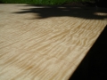 maple